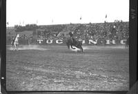 Tom Knight on Brown Jug