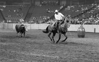 Joe Dorenkamp "Taking out a Bull"