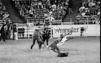 Jimmy Giese Calf roping, 909 Sec