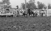 Joel Edmondson Steer wrestling