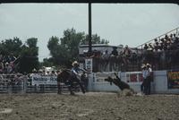 Dave Brock Calf roping