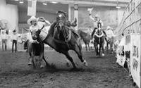 Debbs Phelps Steer wrestling