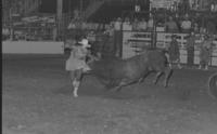 Rodeo clown Jerry Don Galloway Bull fighting