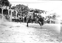 [Unidentified Cowboy riding bareback]