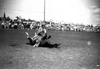 [Unidentified rodeo clown performing with mule]