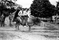 [Two unidentified cowboys & one cowgirl sitting on Bull]