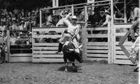 Dennis Humphrey on Bull #2