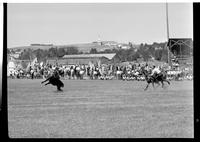 Gordon Davis Calf Roping