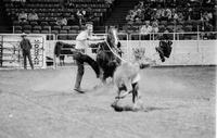 Ronnie Williams Calf roping