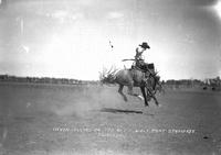 Irvin Collins on "Ted Artz" Wolf Point Stampede