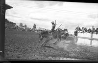 Bob Estes on Strawberry Roan