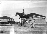 [Unidentified young girl on horse jumping hurdles]
