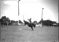 [Unidentified Cowboy with initials "JW" on chaps riding and staying with bucking bronc]
