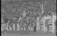 Brent Hanks on Bull #13