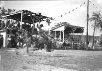 [Possibly Gene Pruett riding saddle bronc]