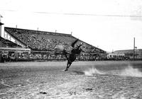 [Unidentified Cowboy leaving bronc]