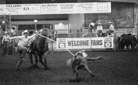 Jerry Dotson Calf roping