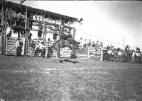 Shorty Rutledge on "Fire Fly" Arcadia Rodeo