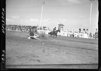 Len Perkins Steer Rope