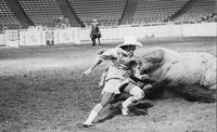 Rodeo clown Jerry Don Galloway fighting Topcat