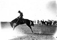 Vic Schwartz on "Angel" Sheridan, Wyo Rodeo