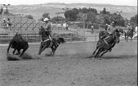 Geo. Purcell & Doug Frazier Team roping