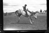 Bud Bickers on Horse Heaven Blues