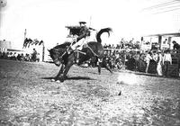 Gene Pruitt on "High Skipp" San Angelo Tex