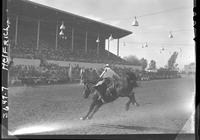 Unidentified pic by Helen  "Saddle bronc riding"