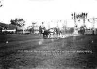 Jim Irwin Bulldogging at All American Rodeo, Minn.