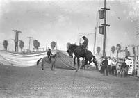 Vic Blackstone on "Tango" Tampa Fair