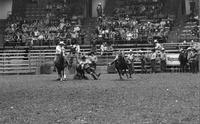 Dennis Bonsall Steer wrestling