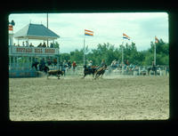 Kelly & Clint McCullum Team roping