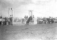 Orvill Merrill Leaving "Panther Pete" Cheyenne Frontier Days (11)