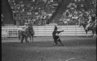 Larry Snyder Calf roping