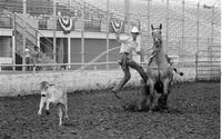 Marty Read Calf roping