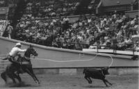 Roy Holmes Calf roping