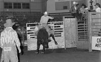 Randy Magers on Bull #00