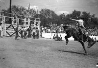 [Unidentified Cowboy riding bronc]