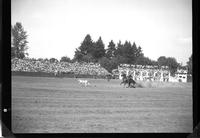 Len Perkins Calf roping