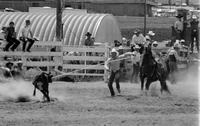 Brodus Gravette Calf roping