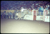 Myrtis Dightman on Bull #112