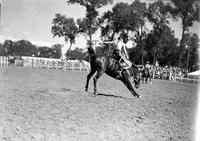 [Unidentified Hatless cowboy riding and staying with his mount in front of stands]