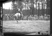 Fred Marchand on Saddle Bronc