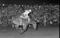 Amateur bronc rider Jay Browning