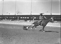 [Unidentified cowboy riding a horse dragging a rodeo clown by the tail]