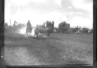 Shaniko Red Steer Wrestle