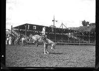 Gene Curtis on Swift Current