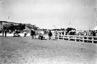 Bulldogging Midland Empire Fair & Rodeo