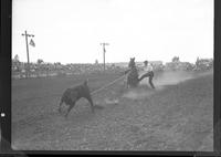 Whiz Whisenhunt Calf Roping